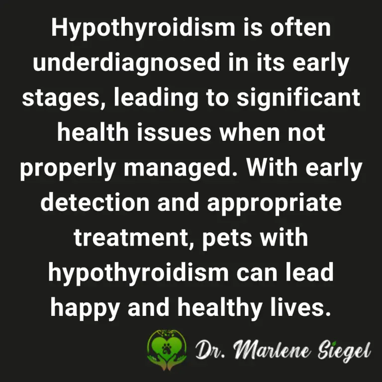 Hypothyroidism | EvoLove Store